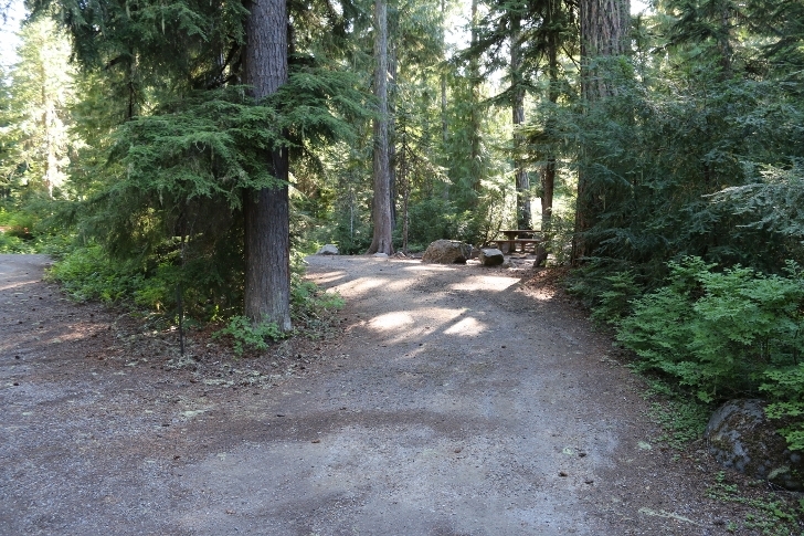 Camping in Washingtons Kachess Campground.